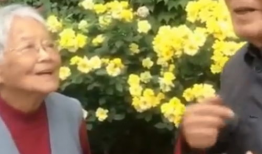 91岁爷爷的日常直播,岁月静好，笑对人生